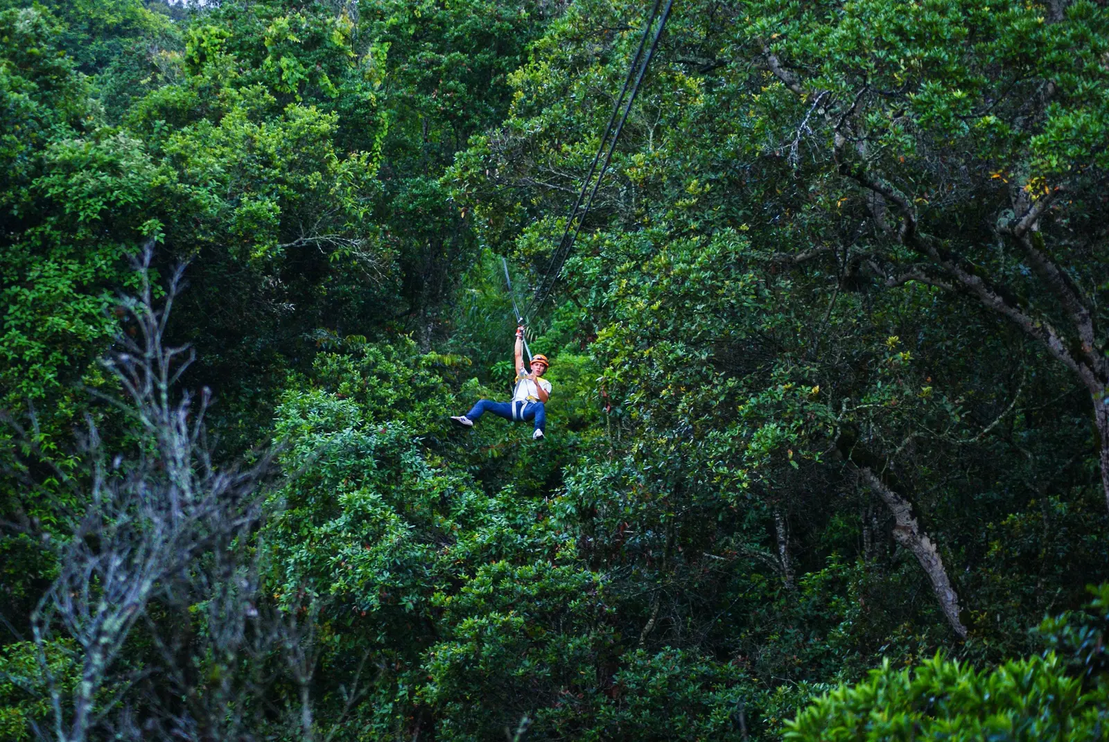 Zipline crossing the ravine